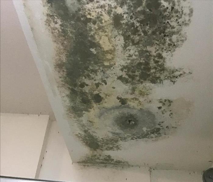 Mold growth on ceiling of a garage.